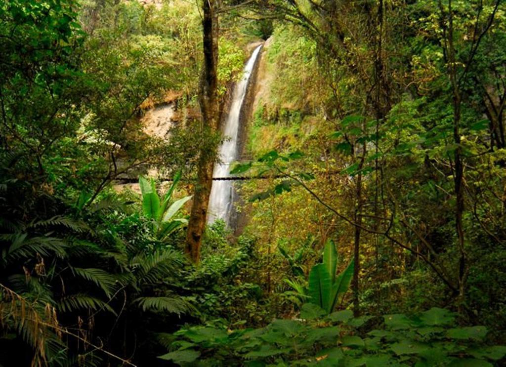 Reserva Natural Atitlan Panajachel Eksteriør billede
